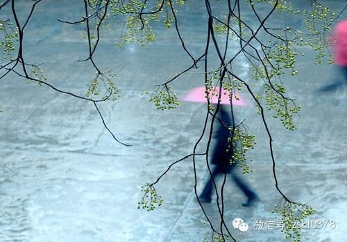 連日秋雨，警惕這些疾病乘虛而入！