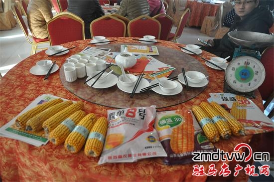 DSC_0743_看圖王.jpg