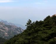 這山只看那山高，風(fēng)景這邊獨好（攝影/水墨丹青）