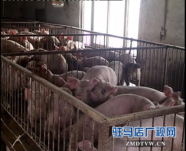 <a  href='http://www.cndedutech.com/listinfo-16-0.html'  title='養(yǎng)殖' target='_blank' >養(yǎng)殖</a>1_副本.jpg