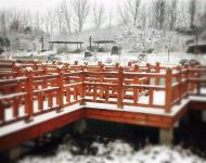 連已經(jīng)結(jié)冰的湖水邊、橋欄上，都留下了這個(gè)冬天最美的一幕！