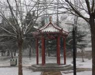 不一會(huì)，雪花就輕輕地覆蓋了整個(gè)大駐馬，連路邊游園的亭臺(tái)都讓這雪花修飾的如此意境不凡。