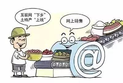 地方政府如何開展網(wǎng)絡扶貧？