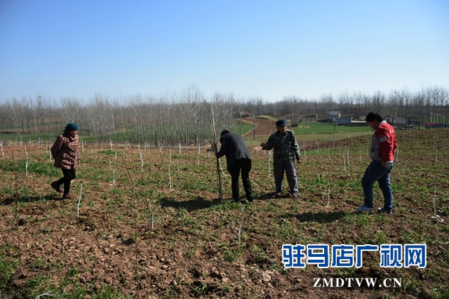 img_20170302_142743_副本_副本.jpg
