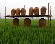 近年來(lái)，留莊鎮(zhèn)以發(fā)展現(xiàn)代生態(tài)農(nóng)業(yè)和鄉(xiāng)村旅游為抓手，以留莊鎮(zhèn)觀光稻田公園、富硒生態(tài)大米等農(nóng)產(chǎn)品為突破，致力于打造一個(gè)以生態(tài)旅游為主的觀光農(nóng)業(yè)，探索走出一條傳統(tǒng)平原農(nóng)業(yè)鄉(xiāng)鎮(zhèn)發(fā)展特色農(nóng)業(yè)的新路子。以產(chǎn)業(yè)扶貧、精準(zhǔn)扶貧帶動(dòng)留莊經(jīng)濟(jì)發(fā)展，為老百姓找到一條脫貧致富的新出路。（攝影記者/武帥）
