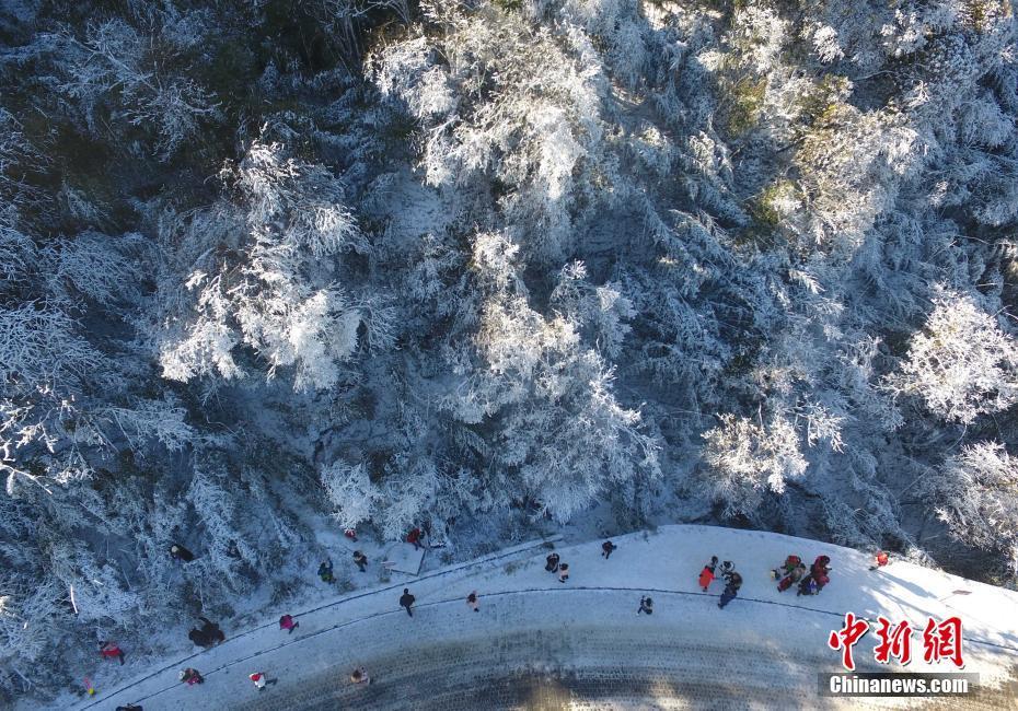 12月20日，重慶金佛山銀裝素裹雪景美如畫，吸引了不少游客前來觀賞。當(dāng)日，第19屆金佛山冰雪節(jié)正式開幕。 陳超 攝