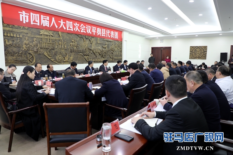 朱是西參加平輿代表團(tuán)的審議政府工作報(bào)告，聆聽代表發(fā)言。
