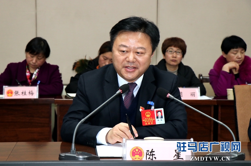 陳星參加上蔡代表團(tuán)的審議政府工作報(bào)告時(shí)發(fā)言。