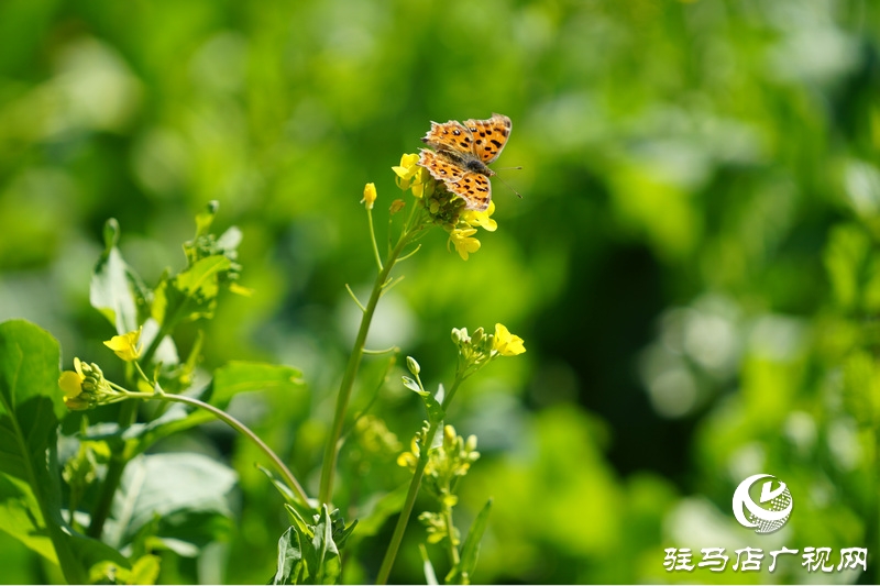 我們堅(jiān)守，為了早日重逢