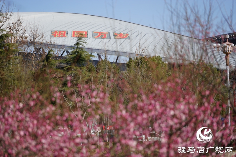 戰(zhàn)疫，熱火朝天