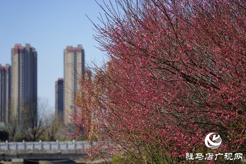 再次與自己約定，閉門不出