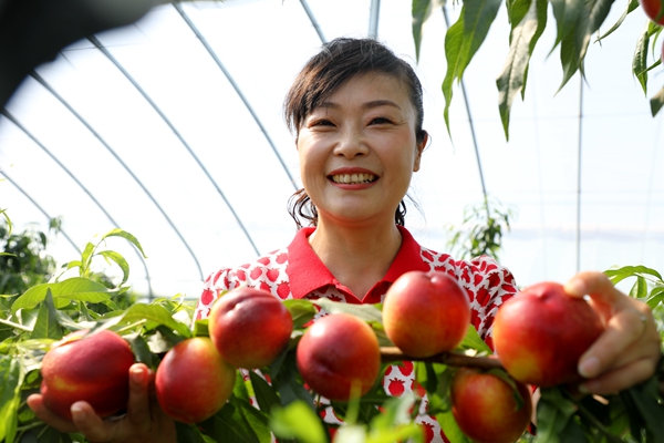 黨員為農(nóng)產(chǎn)品代言，政協(xié)助力脫貧攻堅(jiān)