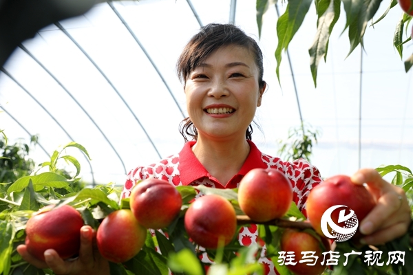 黨員為農(nóng)產(chǎn)品代言，政協(xié)助力脫貧攻堅(jiān) 