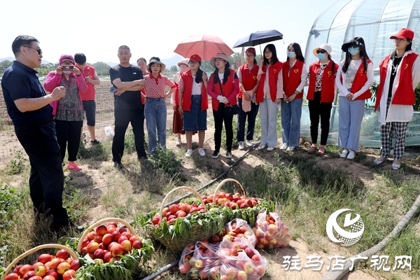 黨員為農(nóng)產(chǎn)品代言，政協(xié)助力脫貧攻堅(jiān) 