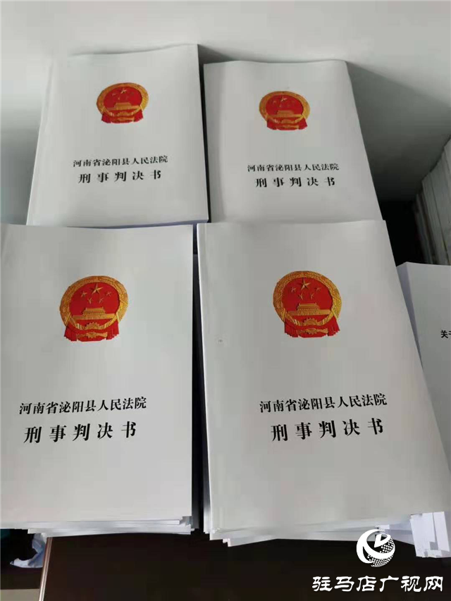 14名被告人全部判刑，主犯獲刑二十年