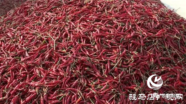 攜手北沃 見(jiàn)證豐收 ——北沃高鈣肥再顯神威，表現(xiàn)驚艷眾人！