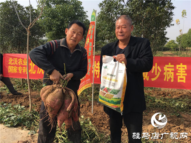 攜手北沃 見(jiàn)證豐收 ——北沃高鈣肥再顯神威，表現(xiàn)驚艷眾人！