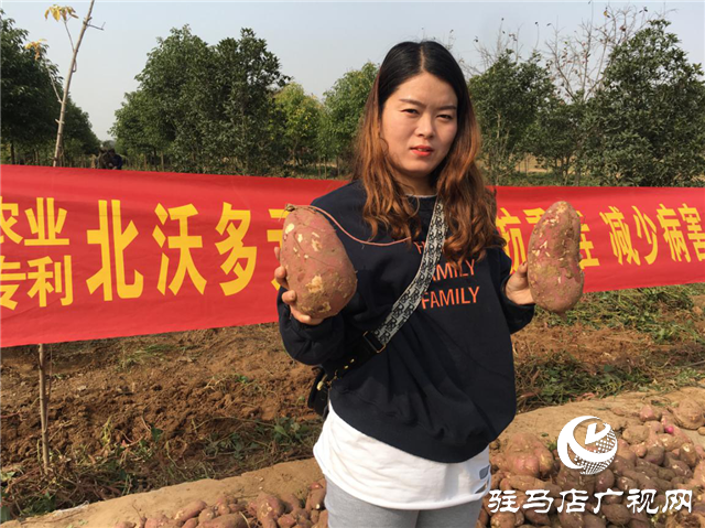 攜手北沃 見(jiàn)證豐收 ——北沃高鈣肥再顯神威，表現(xiàn)驚艷眾人！