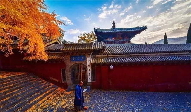 “古剎秋景惹人醉，金色滿園迎賓朋”——嵩山少林寺千年銀杏已到了一年之中最美時節(jié)！