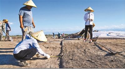 遺址格局逐步清晰，歷史文化內涵日益豐富  北庭故城考古發(fā)現(xiàn)不斷深入