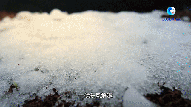 全球連線丨二十四節(jié)氣由何而來(lái)？中國(guó)最古老天文遺跡告訴你
