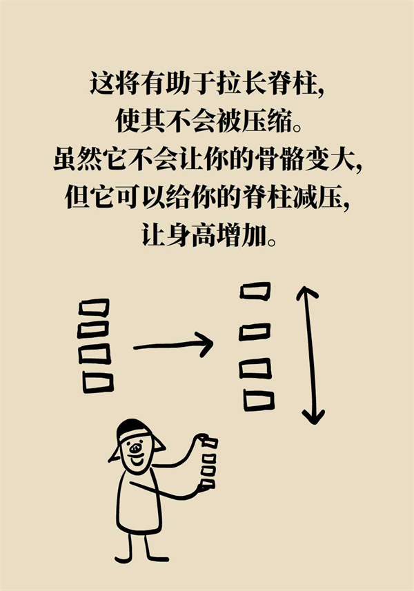 如何科學(xué)增高？專家：四個(gè)動(dòng)作，三個(gè)要領(lǐng)