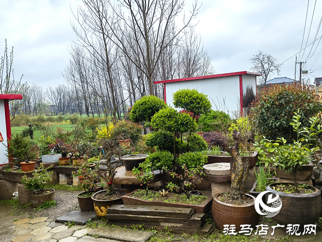 上蔡縣大路李鄉(xiāng)：強(qiáng)“本手”、創(chuàng)“妙手”、減“俗手”助力人居環(huán)境大嬗變