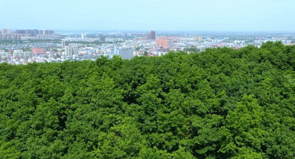 奮進(jìn)新征程，建功新時(shí)代 ——專訪駐馬店市委書記鮑常勇
