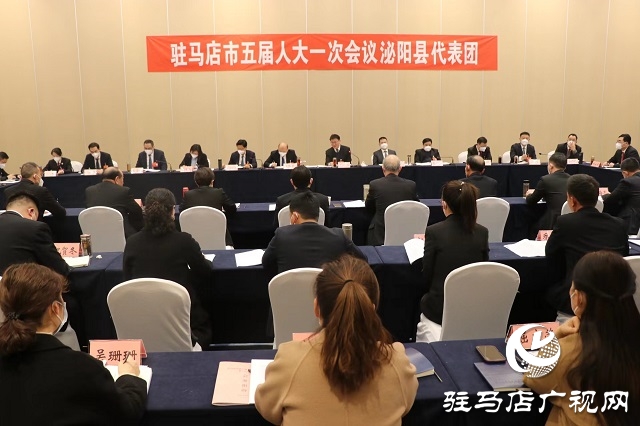 兩會(huì)時(shí)間｜駐馬店市人大代表分團(tuán)審議 政府工作報(bào)告審查計(jì)劃報(bào)告、 預(yù)算報(bào)告和草案