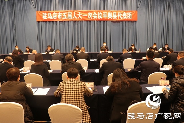 兩會(huì)時(shí)間｜駐馬店市人大代表分團(tuán)審議 政府工作報(bào)告審查計(jì)劃報(bào)告、 預(yù)算報(bào)告和草案