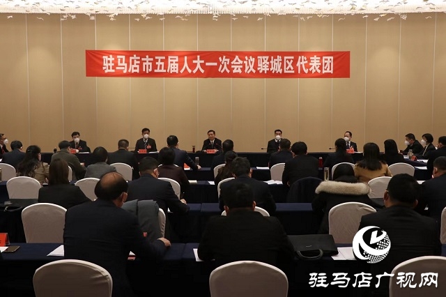 兩會(huì)時(shí)間｜駐馬店市人大代表分團(tuán)審議 政府工作報(bào)告審查計(jì)劃報(bào)告、 預(yù)算報(bào)告和草案