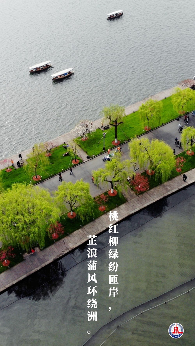 新華全媒+丨植樹傳統(tǒng)，從古詩中走來