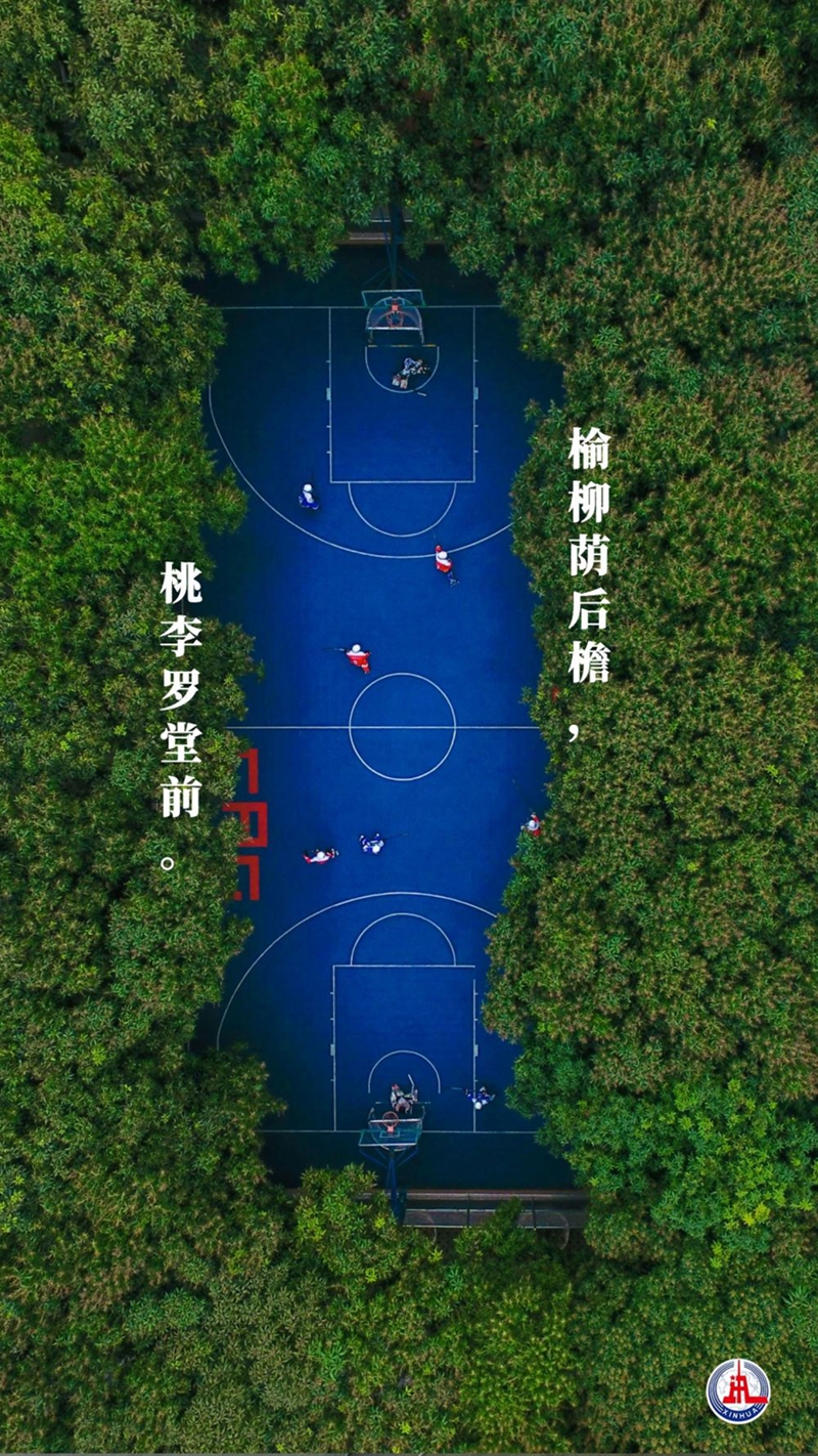 新華全媒+丨植樹傳統(tǒng)，從古詩中走來