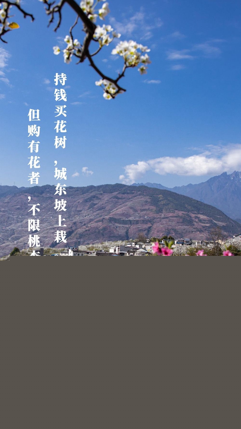 新華全媒+丨植樹傳統(tǒng)，從古詩中走來
