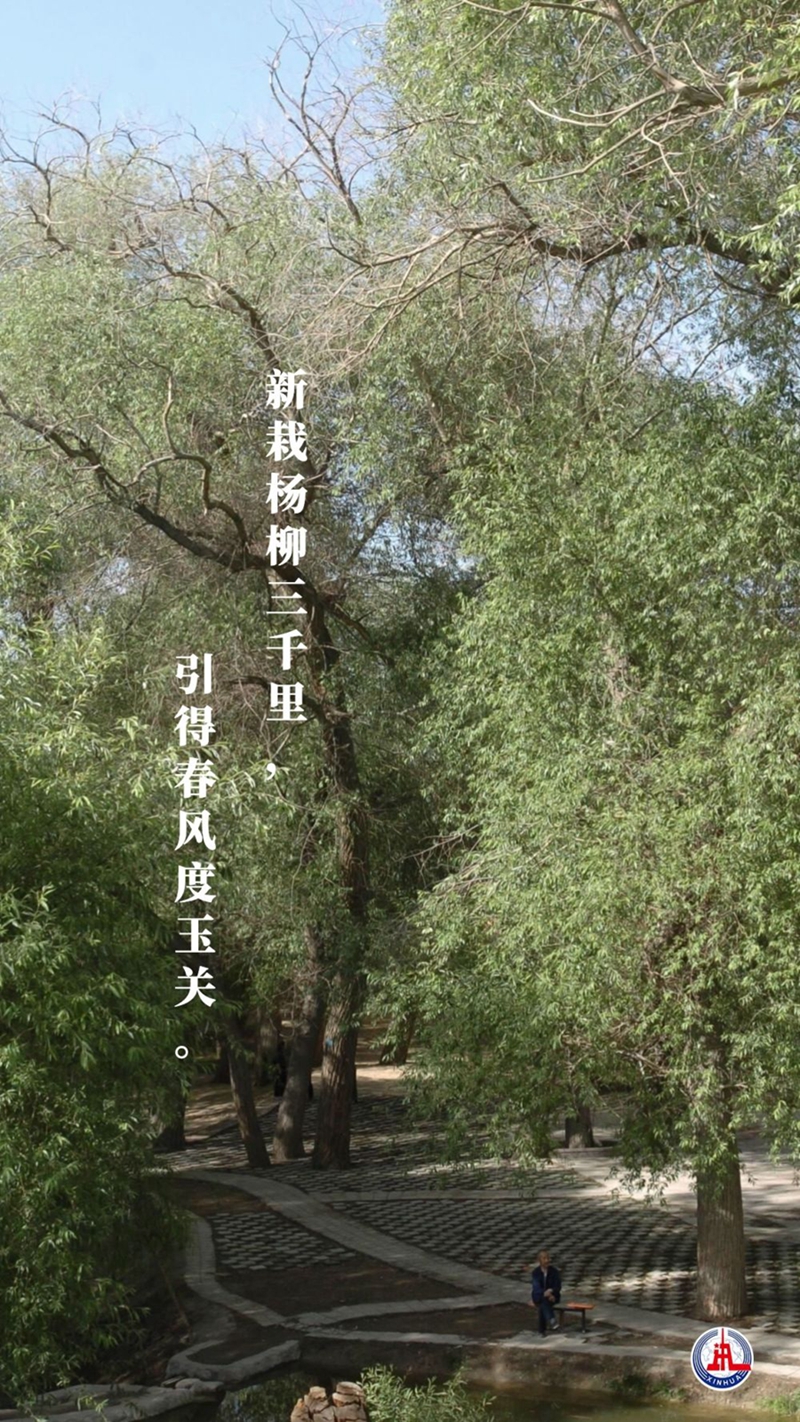 新華全媒+丨植樹傳統(tǒng)，從古詩中走來