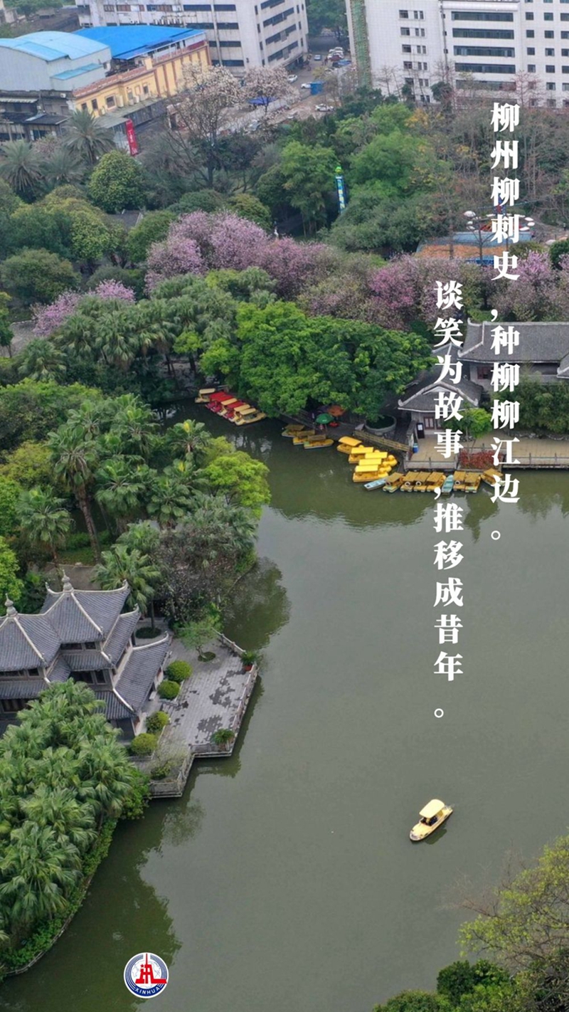 新華全媒+丨植樹傳統(tǒng)，從古詩中走來
