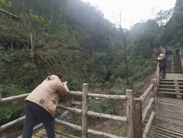 峨眉山猴子被拘留？假的！峨眉山猴子是國(guó)家二級(jí)保護(hù)動(dòng)物
