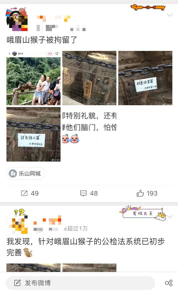 峨眉山猴子被拘留？假的！峨眉山猴子是國(guó)家二級(jí)保護(hù)動(dòng)物