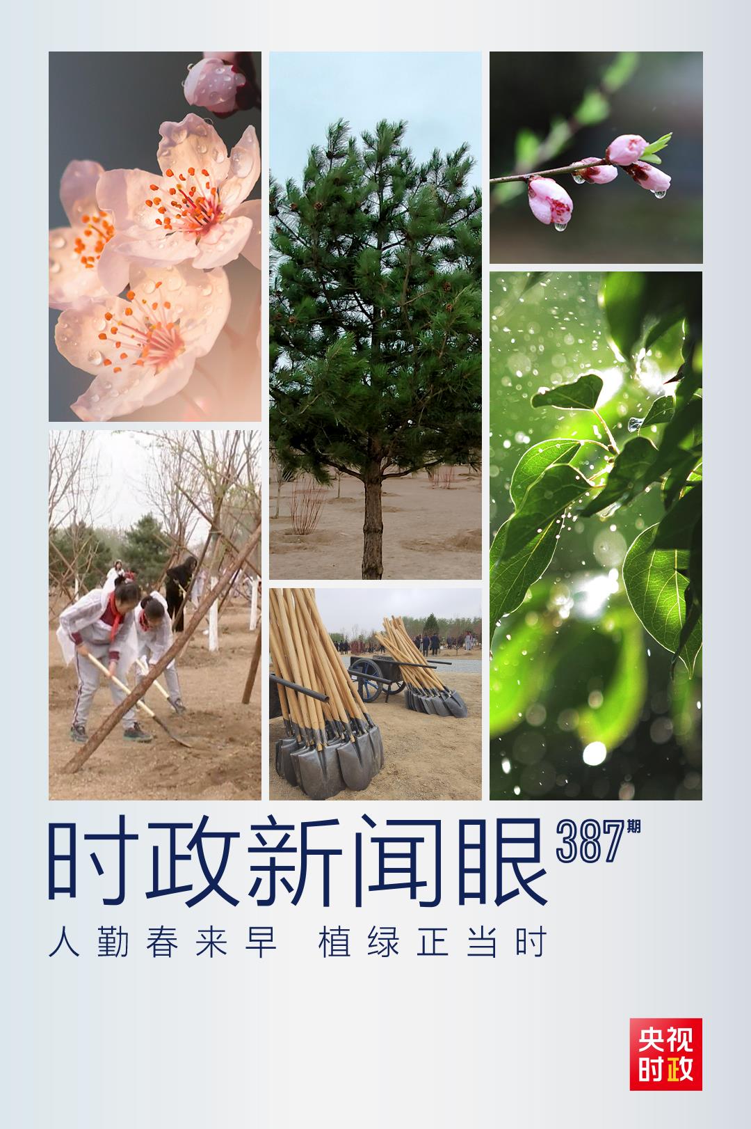 時(shí)政新聞眼丨在今年首都義務(wù)植樹(shù)現(xiàn)場(chǎng)，習(xí)近平這三句話(huà)飽含深意