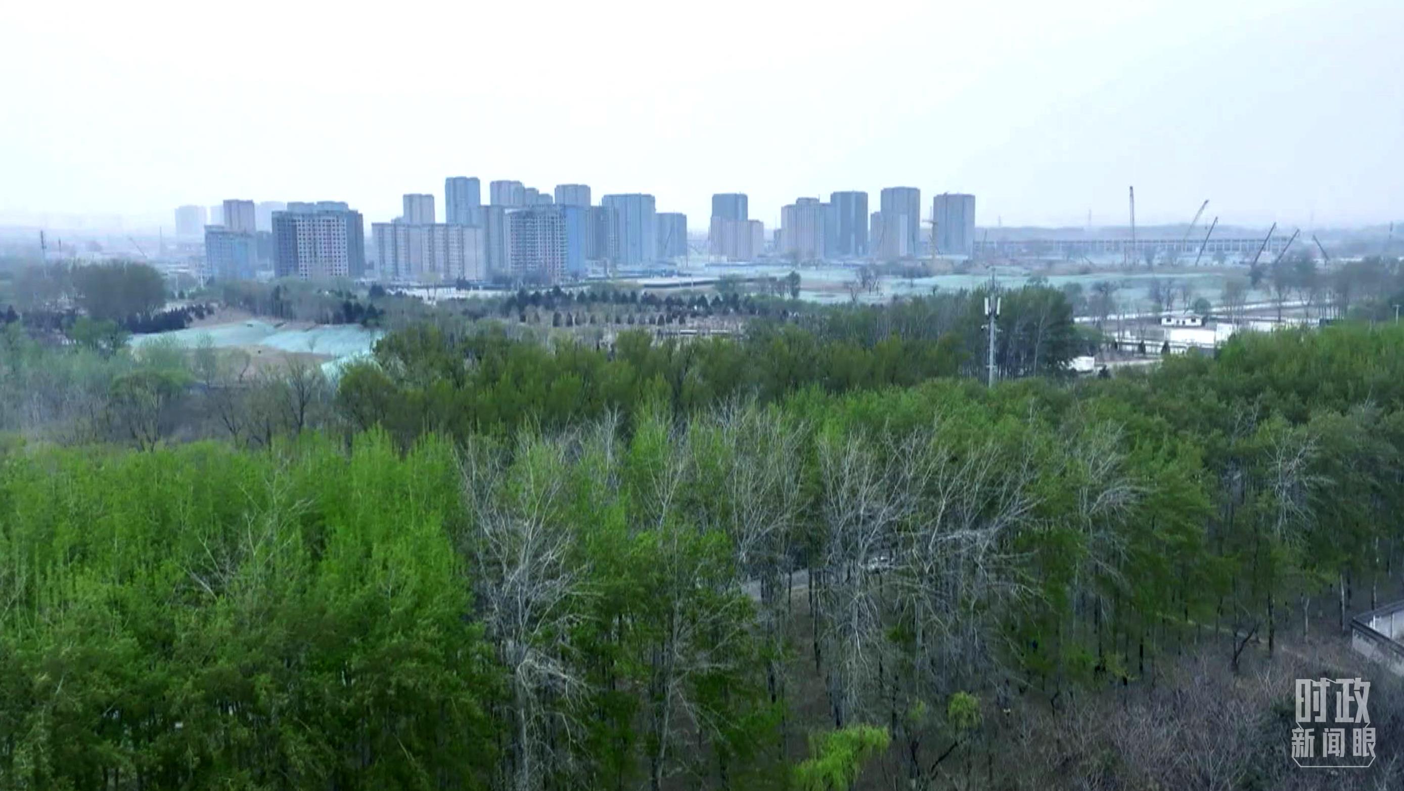 時(shí)政新聞眼丨在今年首都義務(wù)植樹(shù)現(xiàn)場(chǎng)，習(xí)近平這三句話(huà)飽含深意