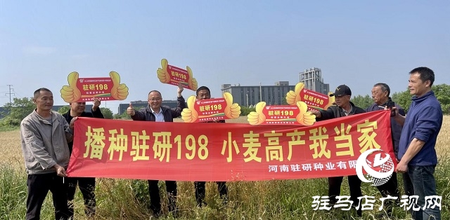 駐研種業(yè)捷報(bào)頻傳：駐麥126、駐麥156、駐研198相繼通過審定