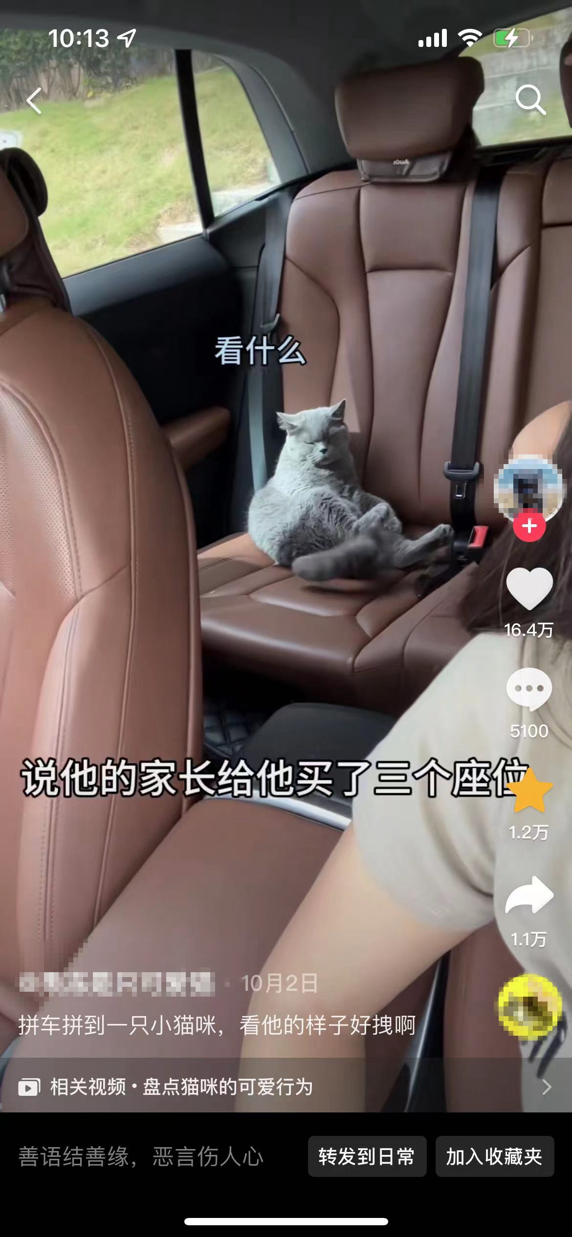 順風(fēng)車亂象：起猛了，拼車拼到狗子