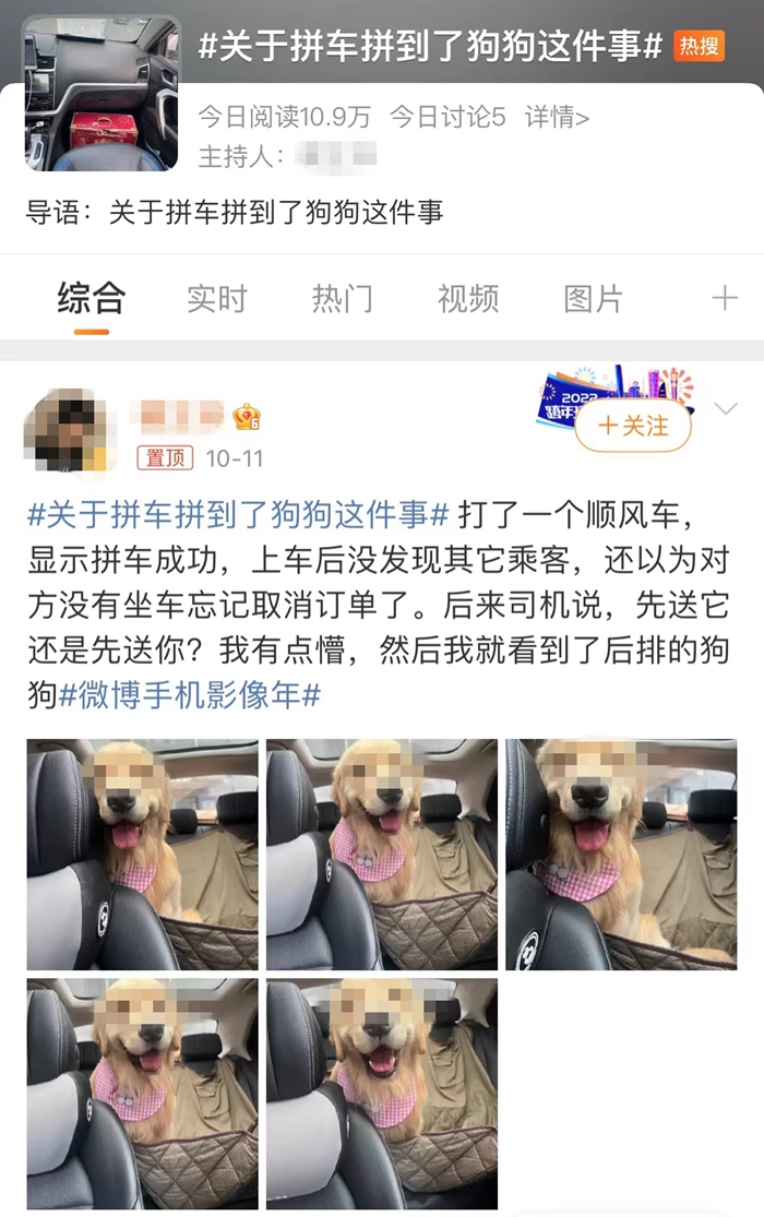 順風(fēng)車亂象：起猛了，拼車拼到狗子