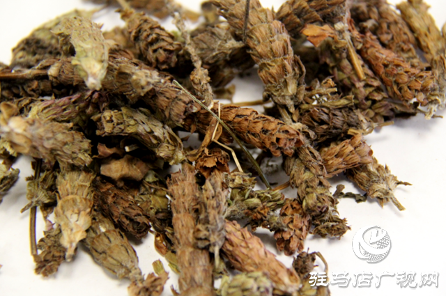 出彩新農(nóng)人||李佳偉：夏枯草種好“致富良方”