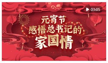 動(dòng)畫(huà)微視頻｜元宵節(jié) 感悟總書(shū)記的家國(guó)情