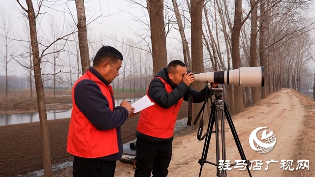 寒冬，他們在宿鴨湖濕地守護候鳥
