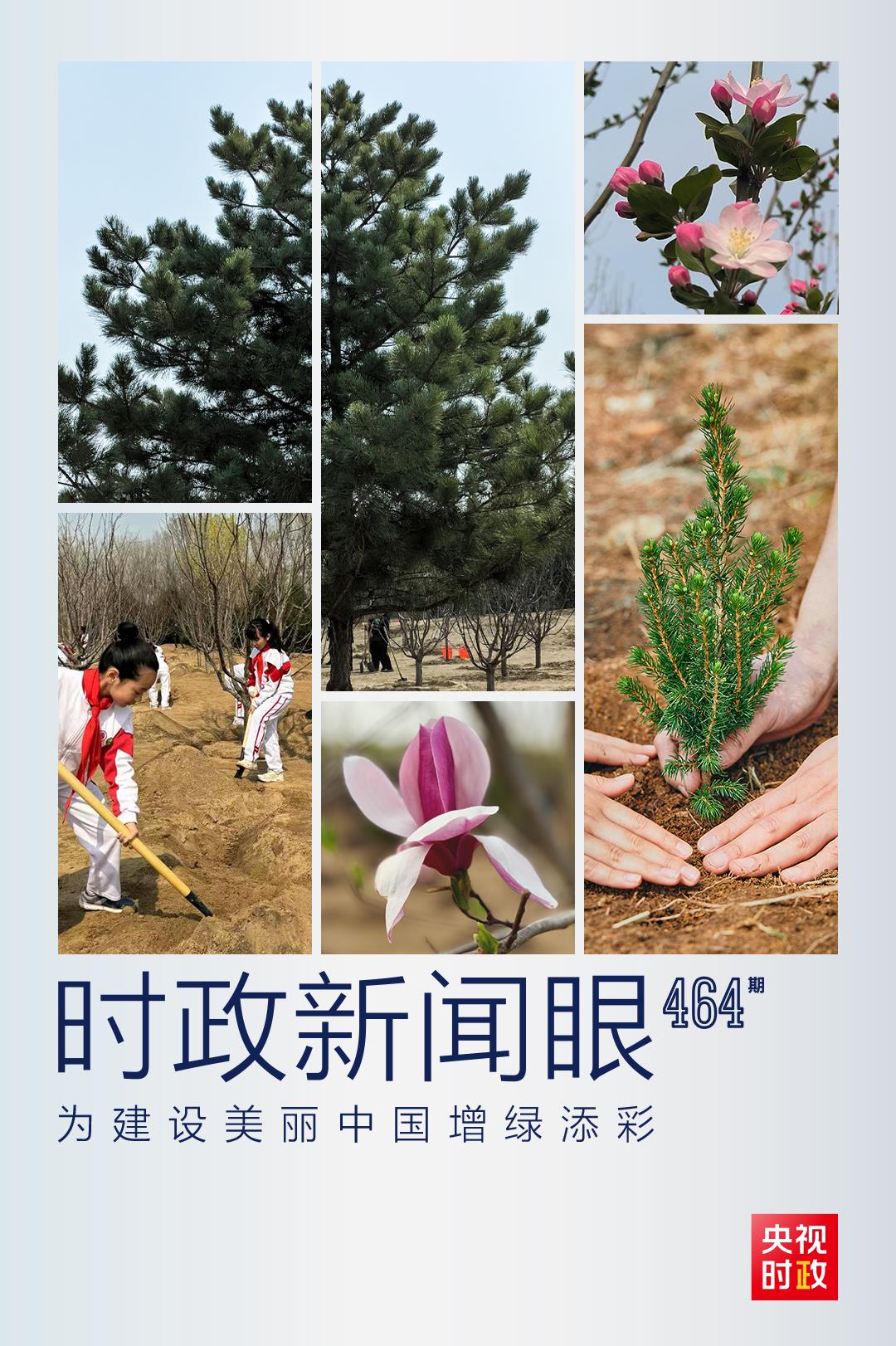 時政新聞眼丨再次參加首都義務(wù)植樹活動，習近平強調(diào)綠化祖國要三者并舉