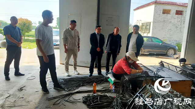 平輿縣十字路鄉(xiāng)：聚力企業(yè)解難題，助力“三園建設(shè)”