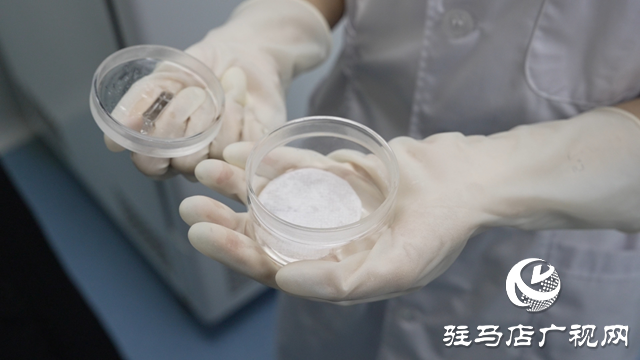 中國國際大學(xué)生創(chuàng)新大賽黃淮校賽涌現(xiàn)出亮眼項目——細(xì)菌納米纖維素水凝膠創(chuàng)可貼