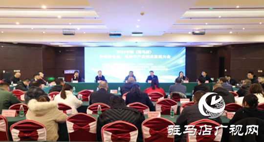 2024年中國（駐馬店）新能源電池 電動車產業(yè)技術發(fā)展大會在汝南縣舉行